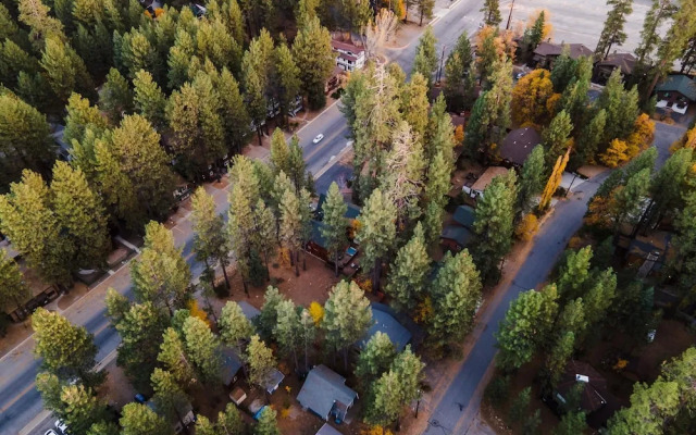 Summit Cabin 2 - Jackhorn