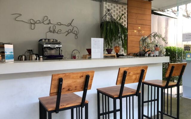 Two Gals And The Pig - Hostel