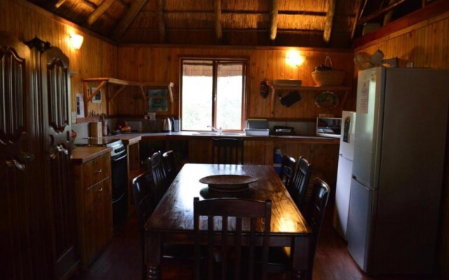 Lion Tree Bush Lodge