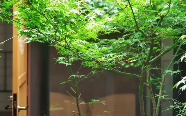 Takeya Kitano Honkan