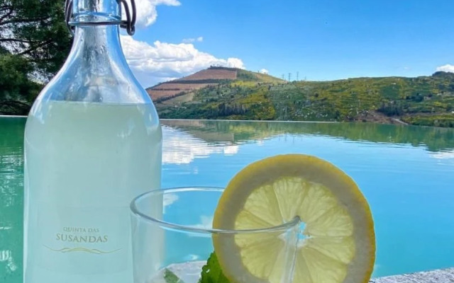 Private Douro- Quinta das Susandas