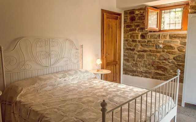 Casale I Cirillo: Primula & Iberide Florida