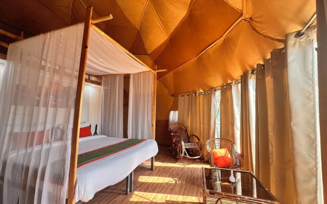 Nestonature Glamping Dharamshala