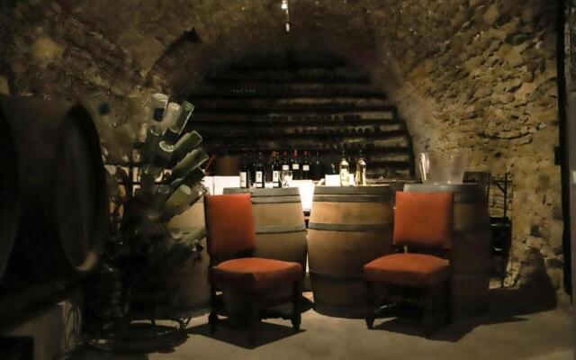 Chateau Dagel Exclusive rental 11 people