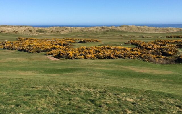 Cruden Bay Bed & Breakfast