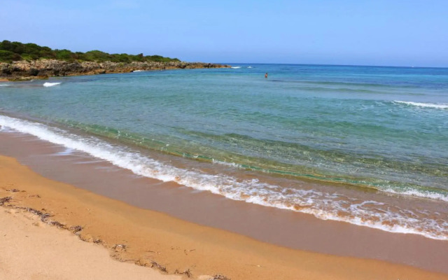 Seaview flat in an olive grove by the beach