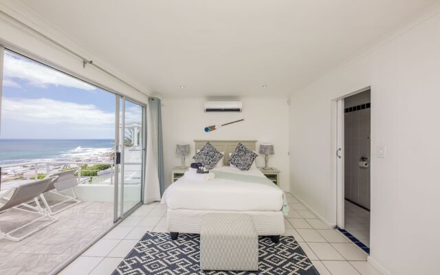 Indigo Bay - The Penguin