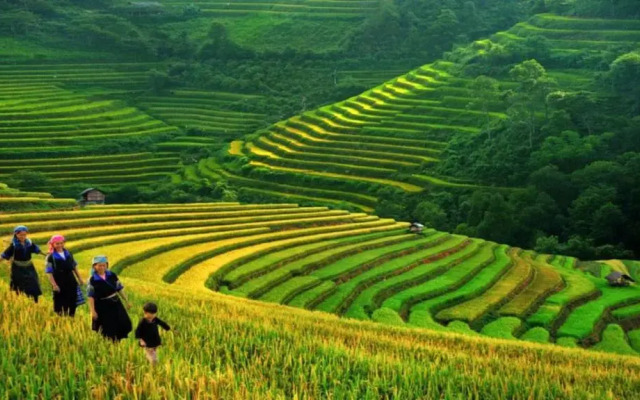 Hanoi House Hostel & Travel