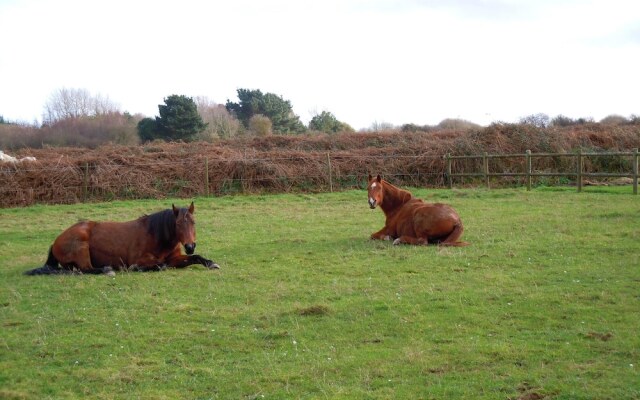 House With 2 Bedrooms in Trédrez-locquémeau, With Furnished Garden and