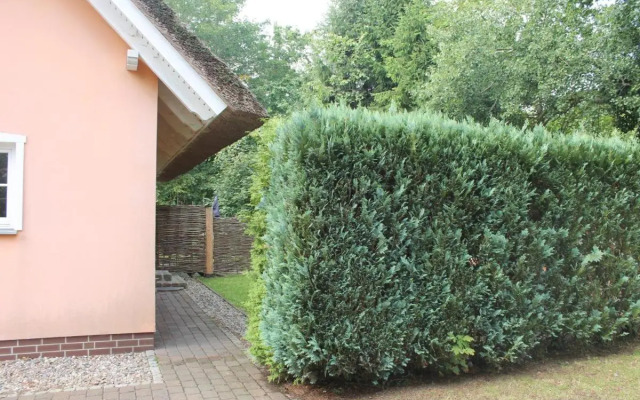 Ferienwohnung Kimi in Wieck