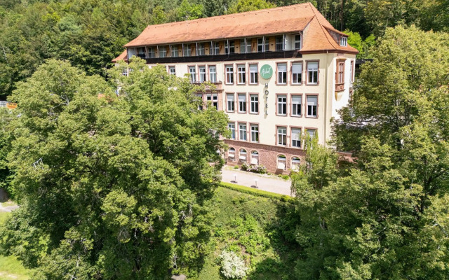 Roomingtons Franziskushöhe Lohr