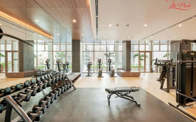 Luxury Apartment in Phu My Hung