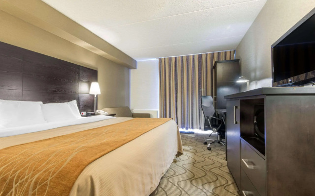 Comfort Inn Lakeshore