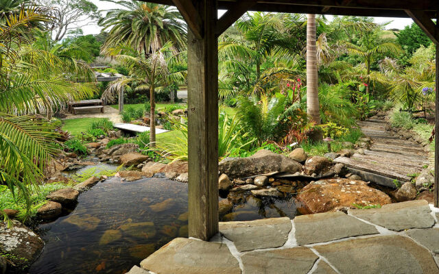 Sanctuary in the Cove
