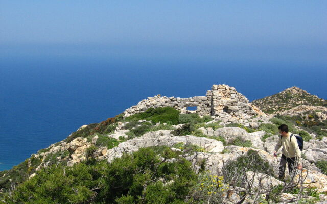 Adonis Hotel Naxos