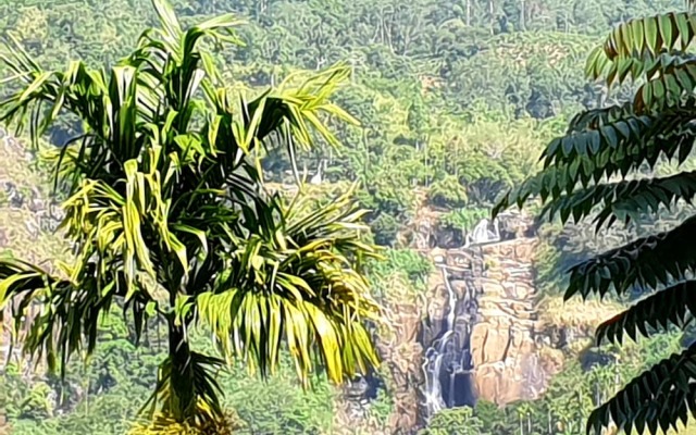 Adannz view