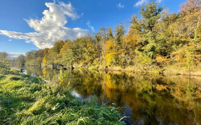 Chalet 2ch au bord de l’Ourthe