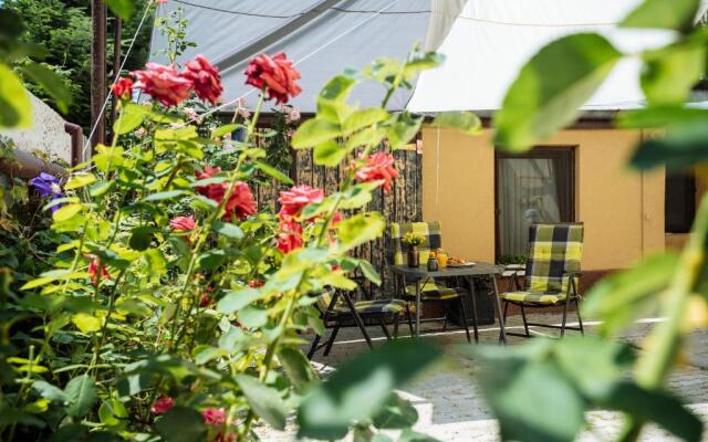 Lovely house and courtyard in city center