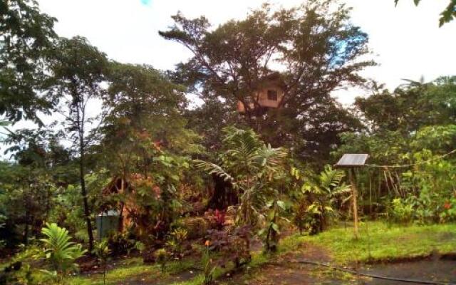 Tanna Volcano View Treehouse