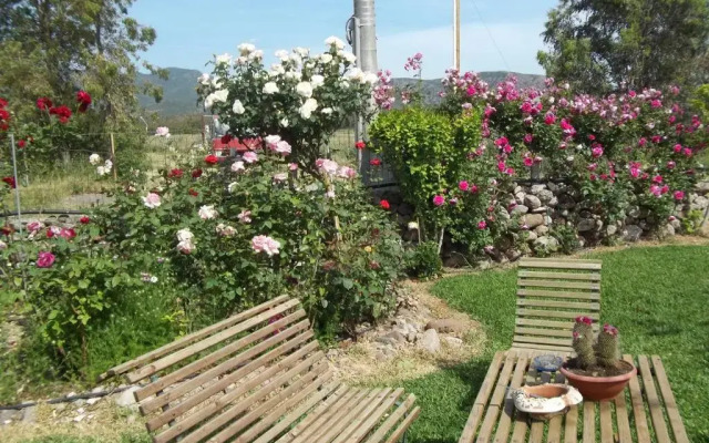 Il Vecchioliveto di Ornella