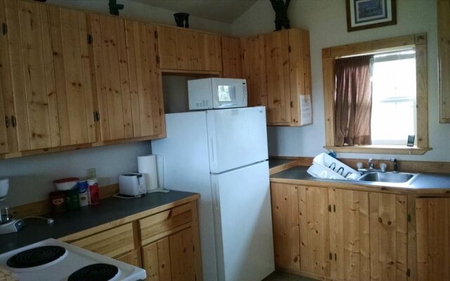 Denali'S Alaskan Spruce Cabins