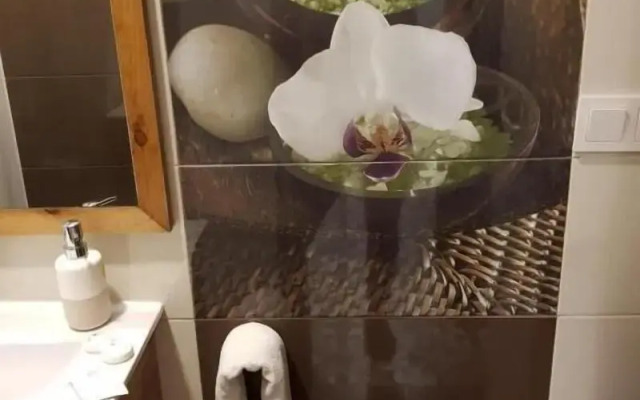 Pension Arena Alicante