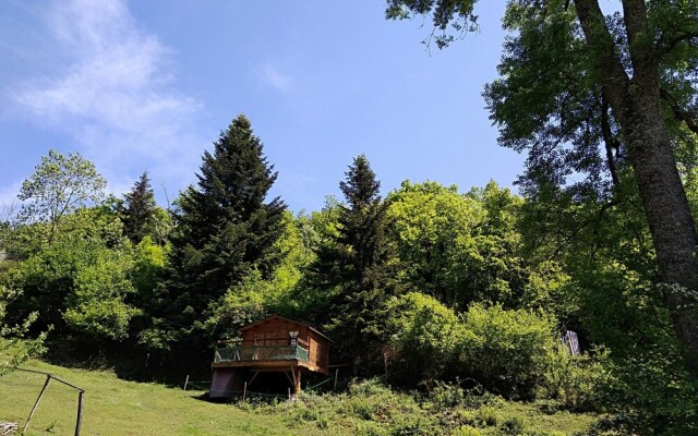 Les Insolites d'Eljie