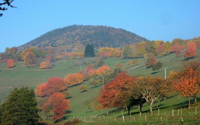 Gîte Schlitteur Et Sapiniere