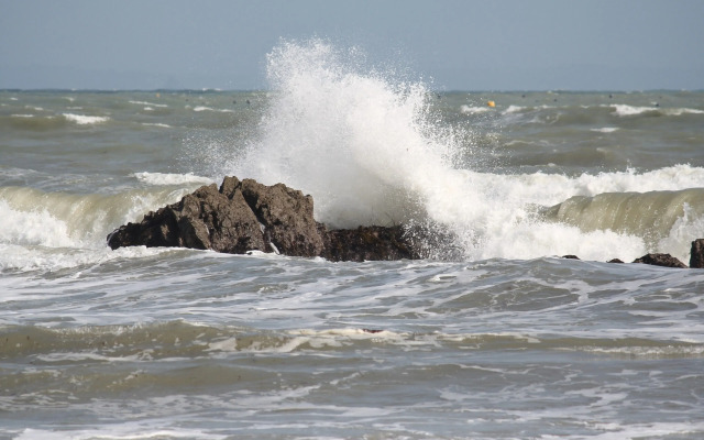 The Five Pilchards Inn