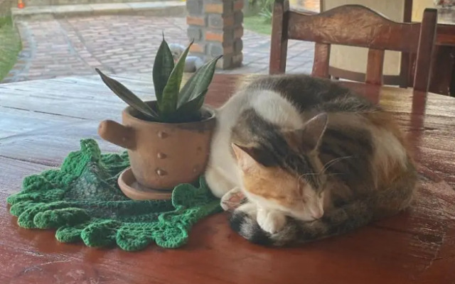 Pousada Sitio Parque dos Lençóis