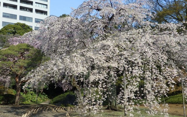 Koraku Garden Hotel