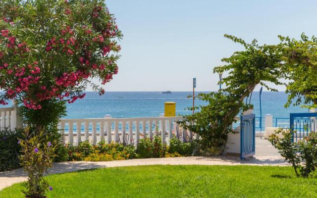Antonios Apartments Stegna