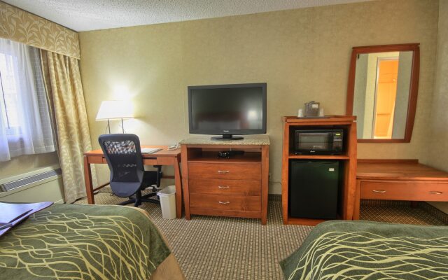 Comfort Inn Near Greenfield Village