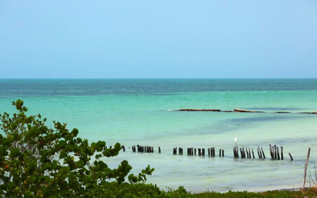 Spirit Holbox