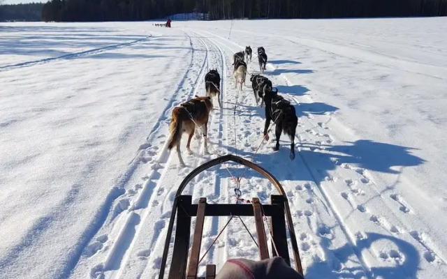 Lagomhuset - A Peaceful Holiday In Swedish Lapland