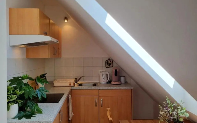 Apartmaji pri Ticelnu