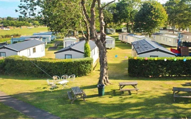 Cheverton Copse