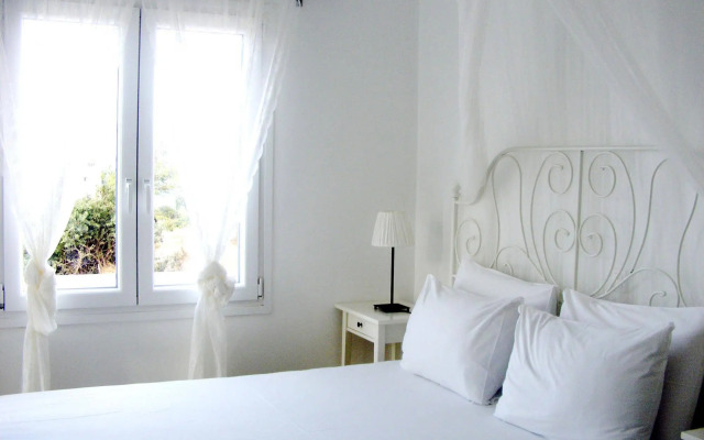 Andros Luxury House