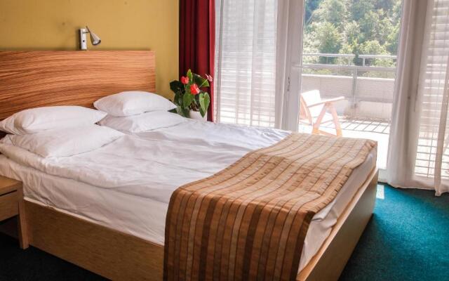 Hotel Veter