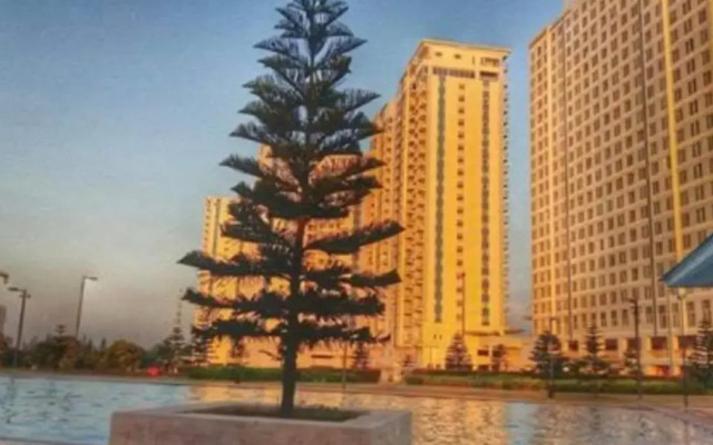 SMDC Cool Residences Tower A Unit 1019