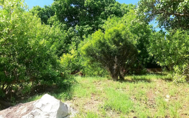 Villa CANA - Appartement 2 chambres avec SPA privatif