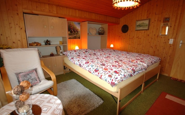 Pristine Home in a Charming Village, Large Grassy Sunbathing Area, View of the Mönch and Jungfrau – Guest Rooms – Wilderswil