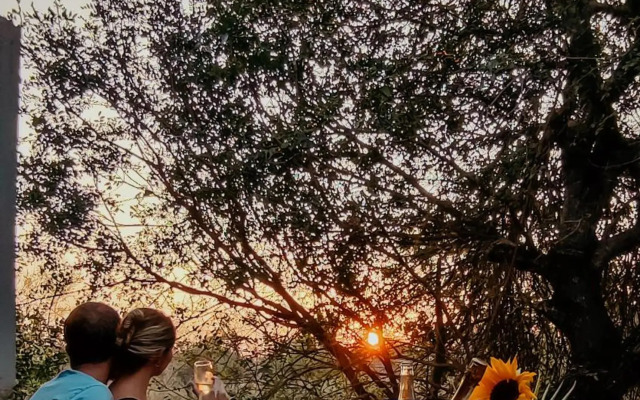 Leopard's Lair Bush Lodge