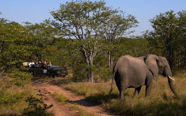 Shindzela Tented Safari Camp
