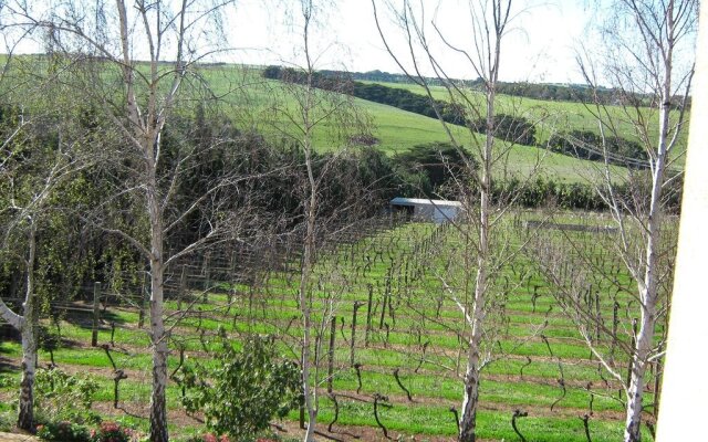 Waybourne Vineyard & Winery