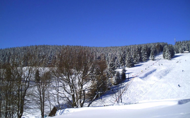 Rennsteighotel Grüner Baum