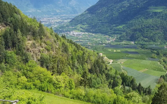 Apartment Niederhaushof