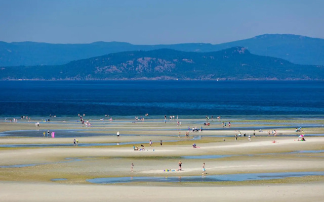 THE Beach Club Resort