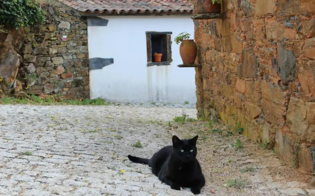 Vilar dos Condes