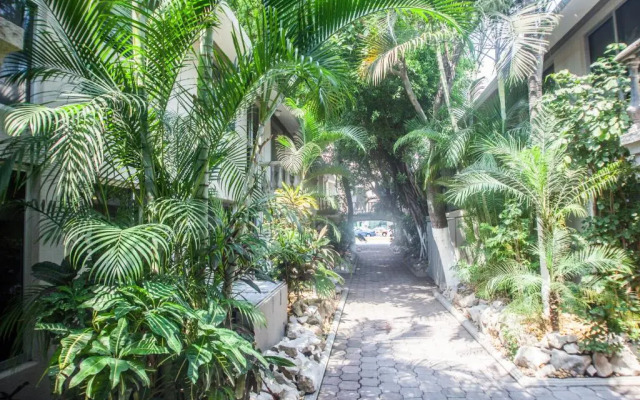 Suites La Fragua